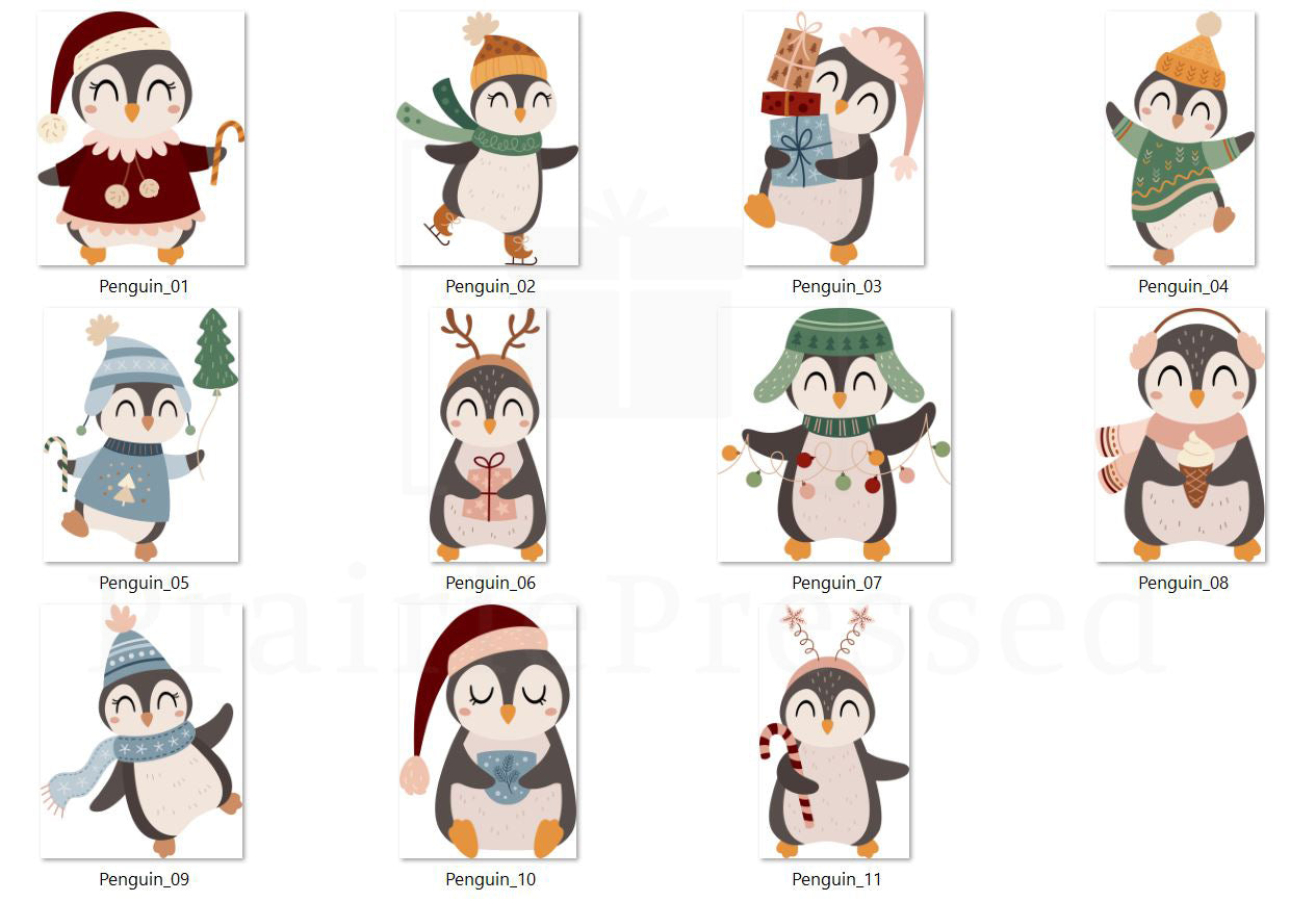 Penguin Ornament 2023 - 11 Penguin Options
